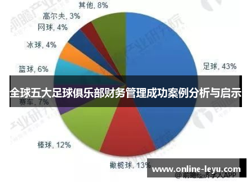 全球五大足球俱乐部财务管理成功案例分析与启示 全球五大足球俱乐部财务管理成功案例分析与启示