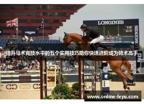 提升马术竞技水平的五个实用技巧助你快速进阶成为骑术高手