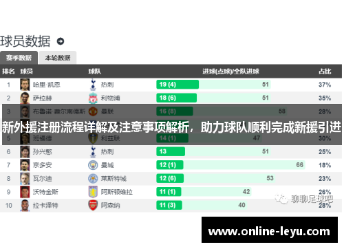新外援注册流程详解及注意事项解析，助力球队顺利完成新援引进