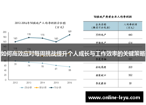 如何高效应对每周挑战提升个人成长与工作效率的关键策略