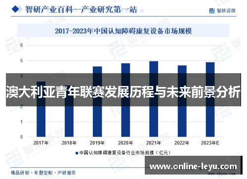 澳大利亚青年联赛发展历程与未来前景分析