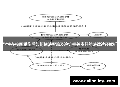 学生在校园受伤后如何依法索赔及追究相关责任的法律途径解析