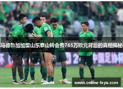 马德鲁加加盟山东泰山转会费765万欧元背后的真相揭秘