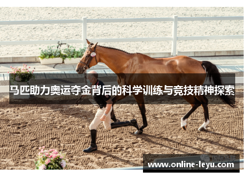 马匹助力奥运夺金背后的科学训练与竞技精神探索