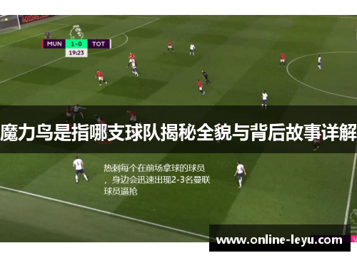 魔力鸟是指哪支球队揭秘全貌与背后故事详解 魔力鸟是指哪支球队揭秘全貌与背后故事详解