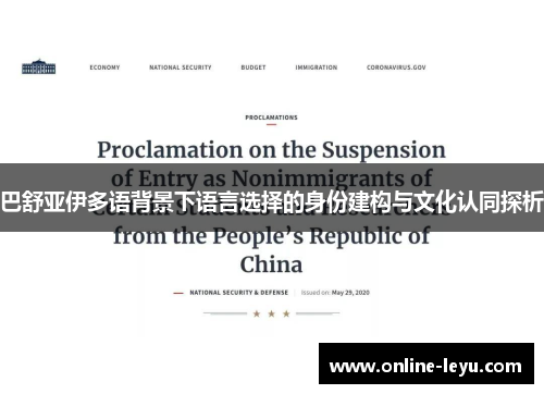 巴舒亚伊多语背景下语言选择的身份建构与文化认同探析 巴舒亚伊多语背景下语言选择的身份建构与文化认同探析